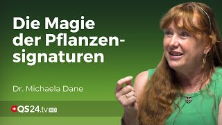 Entdecken Sie die Welt der Pflanzensignaturen  Erfahrungsmedizin  QS24  Gesundheitsfernsehen [upl. by Issor]