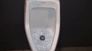 Kohler Darfield Urinal Flushing [upl. by Holmen]