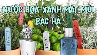 REVIEW MAAHIR LEGACY  Lattafa Có Clone Được Sedley Của PDM [upl. by Ot190]