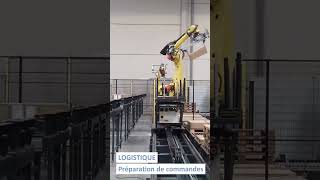 FOCUS  MAXIPAL  Palettisation robot sur rail  shorts [upl. by Sidran]