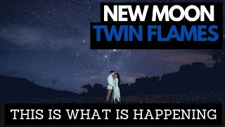 Twin Flame Energy Update 1111 Portal amp New Moon [upl. by Laenej]