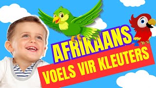 Voëls kleuters lami afrikaans [upl. by Nairim581]