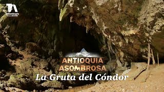 Antioquia Asombrosa La gruta del cóndor Puerto Triunfo  Teleantioquia [upl. by Nnahs]