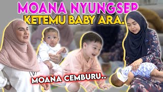 307 M Subs MOANA CEMBURU BU ICIS KETEMU BABY ARA Sampe Nyungsep [upl. by Lynsey]