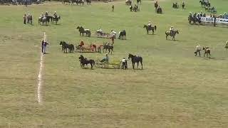 Clinton Arkansas Championship Chuckwagon races 2019 [upl. by Jimmy]