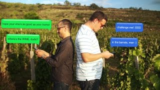 Furmint Adventures  Episode 11 Gizella Cellar [upl. by Niela]