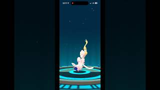 ✨💖💛 Shiny Popplio evolves into Brionne amp Primarina 🌊🪸🧜‍♀️ shinydex shinylivingdex pokemongo [upl. by Noyar528]