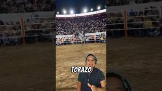 Si le QUITA EL INVICTO al g63 🔥🤠 toros caballos jaripeo tradiciones viralvideo [upl. by Nnaihs]