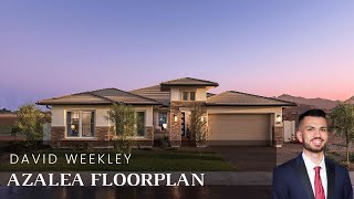 Incredible Arizona Luxury Model Home Tour  David Weekley The Azalea  3 Bed  253 Bath [upl. by Hazem]