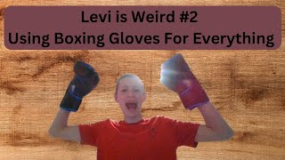 Using Boxing Gloves With Everything [upl. by Chrystal]