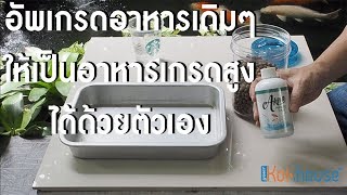 เปลี่ยนอาหารธรรมดาให้เป็นเกรดท๊อปด้วย Probiotic 18plus [upl. by Acysej]