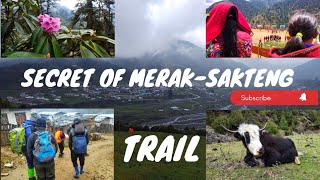 Famous Trekking Merak to Sateng Eastern Bhutanhimalayancultureandnature [upl. by Chil]