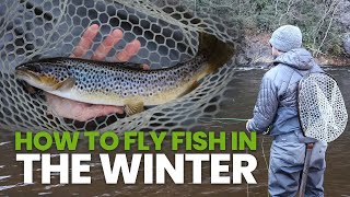 How To Fly Fish In The Winter Everything You Need To Know [upl. by Einaej]