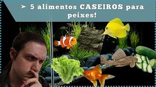 5 alimentos CASEIROS para seus peixes [upl. by Jair]