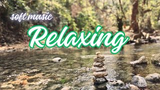 🌿 Listen and feel this soft music to relax the brain and summon positive energybrain meditation [upl. by Toblat]