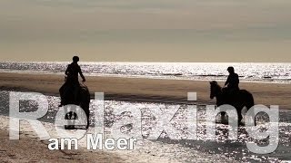 Das Meer bei Lisse in Holland Relaxing pur [upl. by Brit]