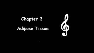 Animal Histology  Adipose Tissue [upl. by Barbee741]