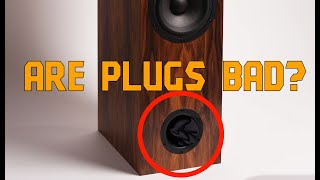 Will Port Plugs Destroy Your Speakers [upl. by Stedmann85]