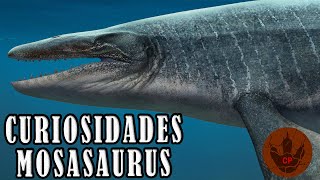 CURIOSIDADES DEL MOSASAURUS [upl. by Oinotnaocram293]