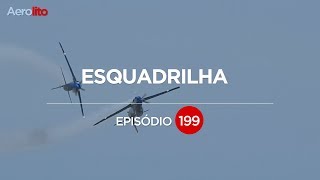 DOMINGO AÉREO  65 ANOS CELEBRANDO A AVIAÇÃO EP 199 [upl. by Jenelle153]