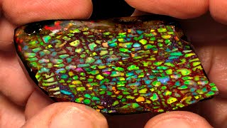 What You DONT Know About Wood Opal Opalized Wood [upl. by Lebasile549]