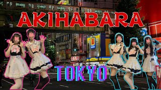 Akihabara Tokyo  Night Walk  No Otaku Left Behind [upl. by Ggerg]