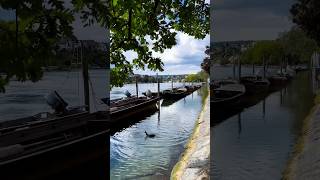 Glimpses of the Rhine Riverswitzerland travelshortsshortsfeedfyp travelswitzerlandswissbeauty [upl. by Llenor]