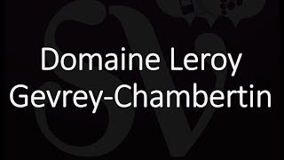 Best GevreyChambertin Wines Famous Wineries amp Producers [upl. by Airdnek]