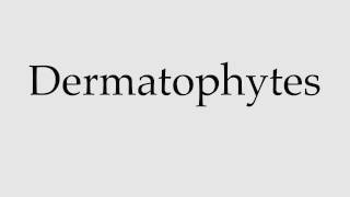 How to Pronounce Dermatophytes [upl. by Anegroeg]