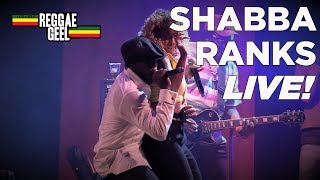 SHABBA RANKS LIVE  REGGAE GEEL 2018 BELGIUM FULL SHOW [upl. by Hiro]