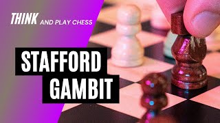 Stafford Gambit in the Petrovs Defense  Chess [upl. by Anjanette]