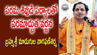 పరమ శివుడి పద్యాలతో పరమాద్భుత వర్ణన  Brahmasri Madugula Nagaphani Sarma  Kopparapu Kavulu [upl. by Aimas]