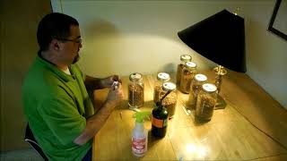 How I make my grain spawn part 2 inoculating with liquid culture [upl. by Bathsheb]