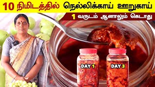 ஒரு வருடம் வரை கெட்டுப்போகாத நெல்லிக்காய் ஊறுகாய்  Amla Pickle Recipe in Tamil  Nellikai oorugai [upl. by Lesly921]