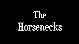 CONCERT  The Horsenecks [upl. by Ignacia]