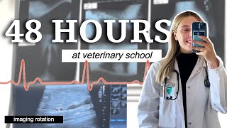 realistic 48 hours with me as a Vet Student  Vet School Vlog [upl. by Allecsirp624]