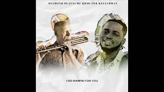 Diamond Platnumz amp Wouter Kellerman  Pounds amp Dollars Lyric Video [upl. by Sudnac]