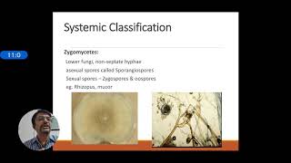 Introduction to medical Mycology [upl. by Staffard391]