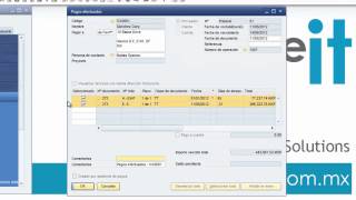 Proceso de Pagos en SAP Business One [upl. by Silvain]