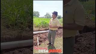 Gerbang Desa Jabongviralvideo [upl. by Elbring]