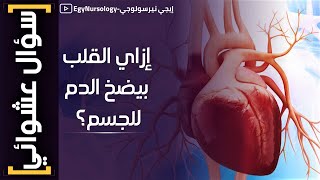 سؤال عشوائي  7 إزاي القلب بيضخ الدم للجسم؟  Cardiac cycle [upl. by Marcelo]