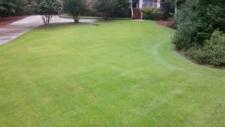 Zoysia lawn maintenance w Tommy C Tommys Landsc [upl. by Essirehc]