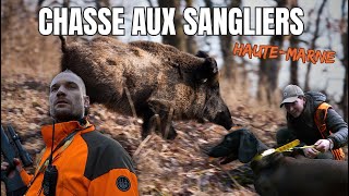 Chasse aux sangliers en Haute Marne Épisode 1 4K [upl. by Lennard]