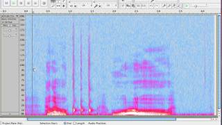 How to View the Spectrum in Audacity [upl. by Also870]