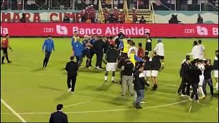 La pelea entre Auzmendi Edwin Rodríguez y José Mario Pinto tras la Gran Final [upl. by Naujad742]