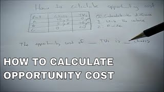 How to calculate opportunity costs [upl. by Attiuqahs752]