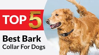 Top 5 Best Bark Collars for Dogs Review in 2024 [upl. by Selohcin872]