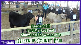 4HFFA Beef Show  Greenup County Fair [upl. by Peugia126]