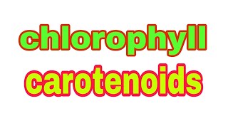 chlorophylls carotenoids in Hindiurdu  chlorophyll  carotenoids [upl. by Arutnev915]