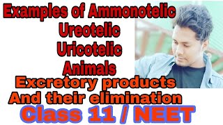 Tricks to learn examples of ammonotelic Uricotelic and ureotelic animals human physiology [upl. by Jeannie]